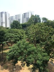 Spottiswoode 18 (D2), Apartment #308164821